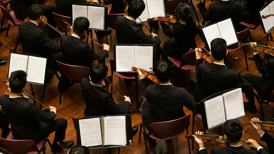 An orchestra's string section seen from above, with music on the stands